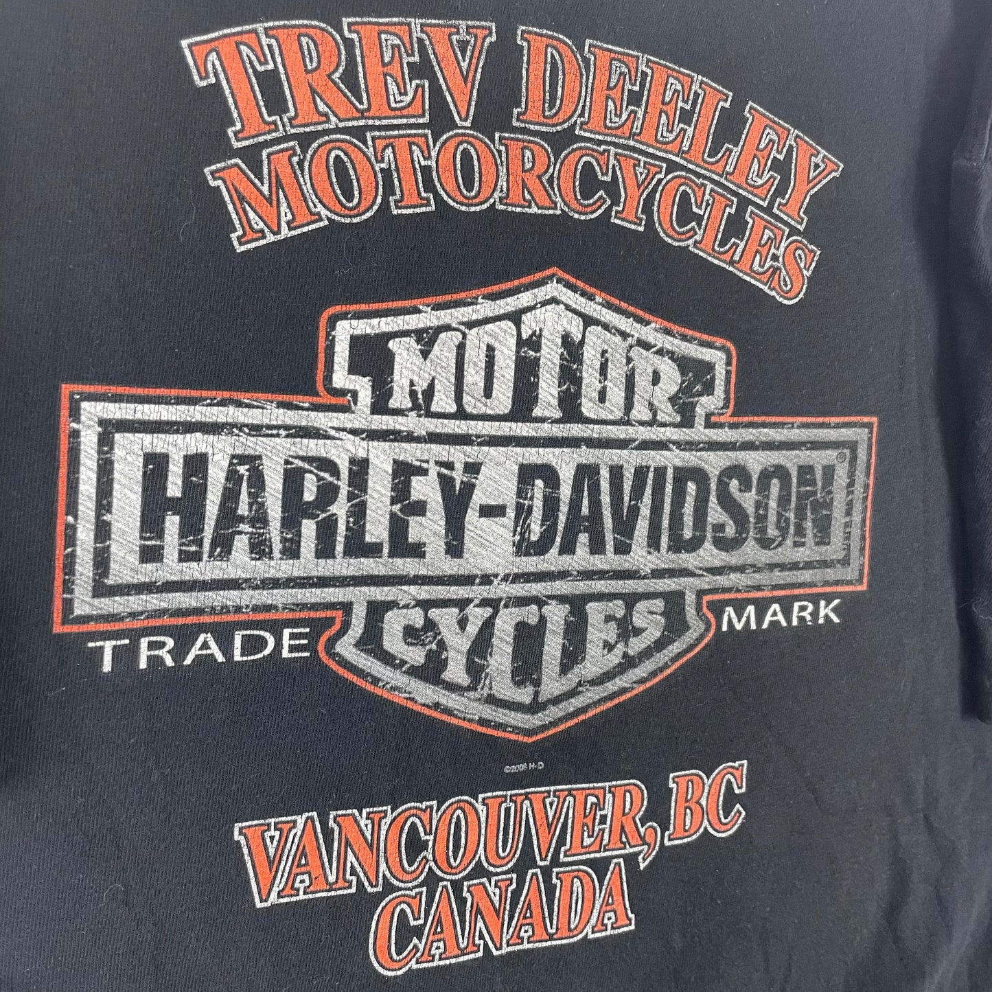 Vintage Harley Davidson Y2K Skulls Shirt