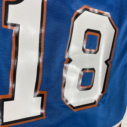 Vintage Screaming Eagle Capitals Style Jersey