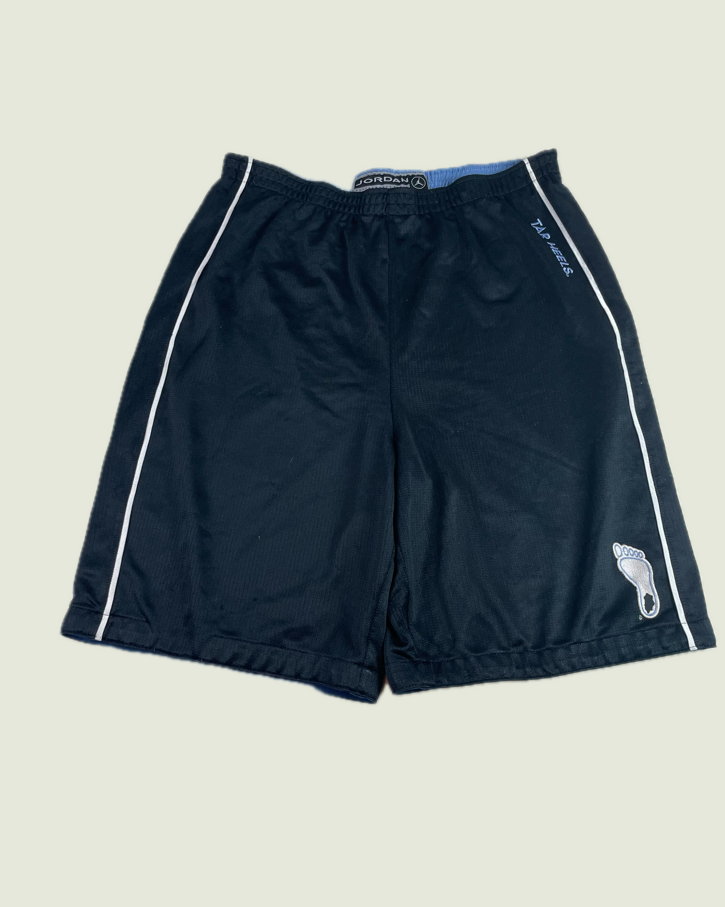 Air Jordan Ultra Baggy UNC Carolina Reversible Shorts