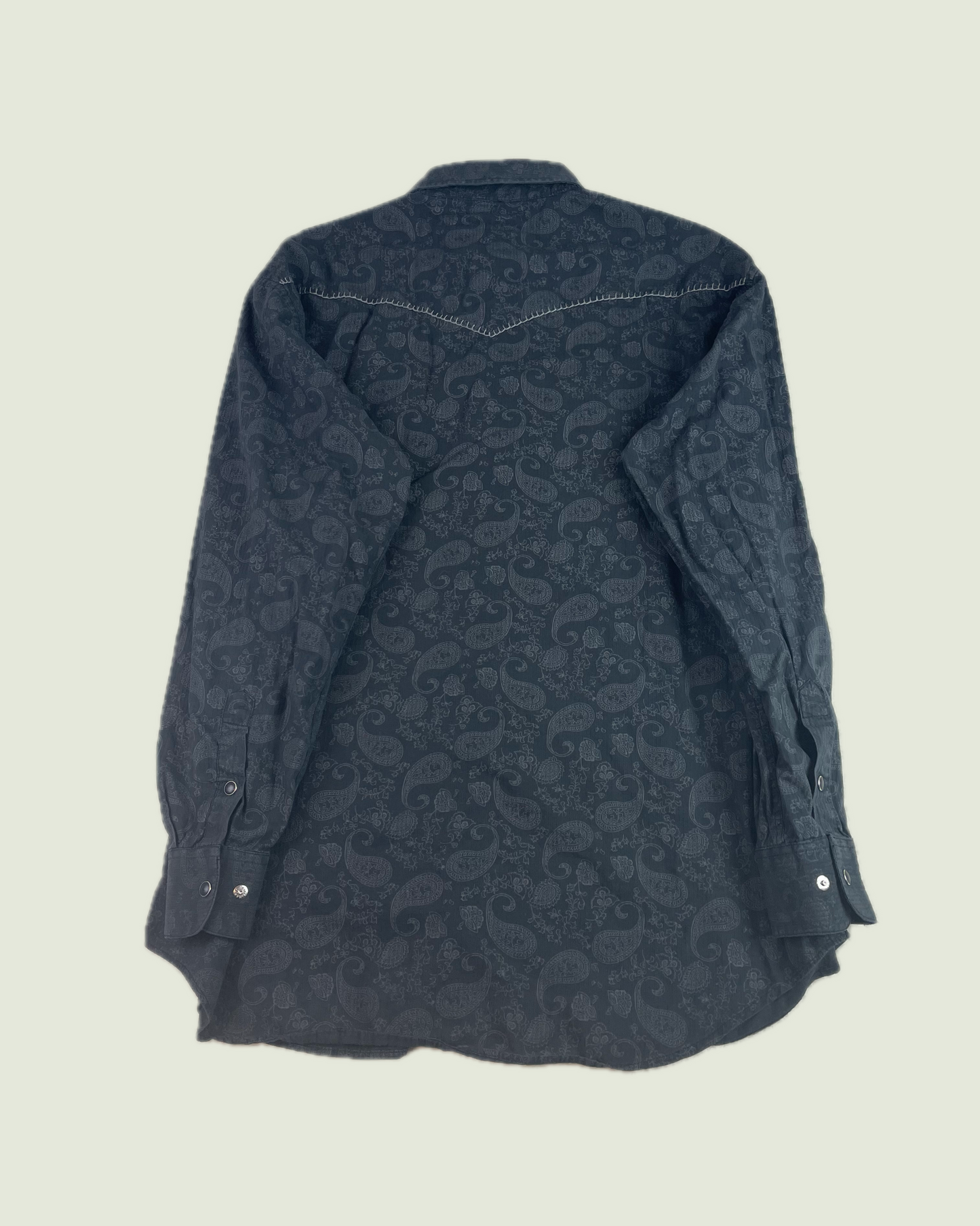 Panhandle Slim Western Yoke Paisley Snap Button Shirt