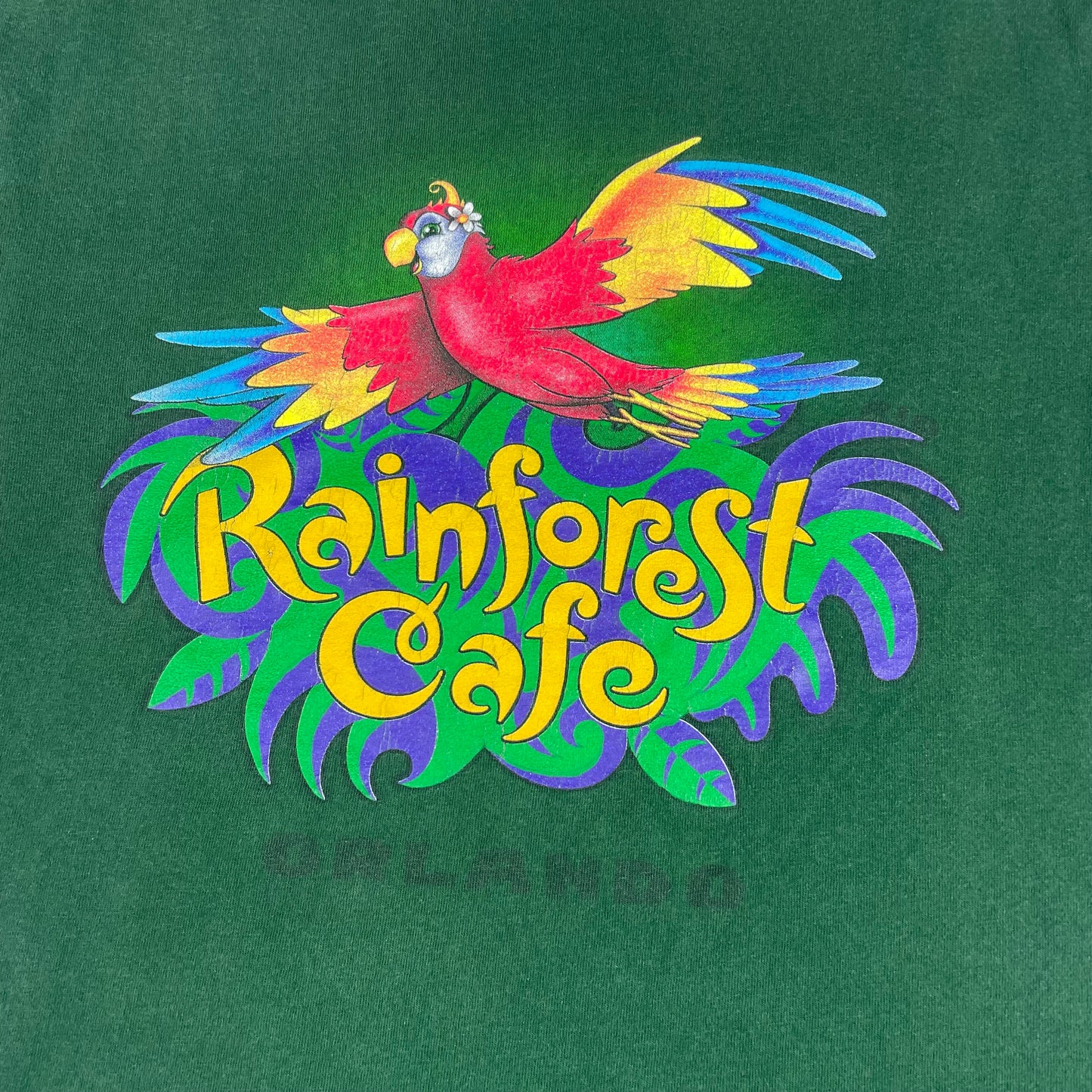 Rainforest Cafe Orlando Parrot Graphic T-Shirt Green