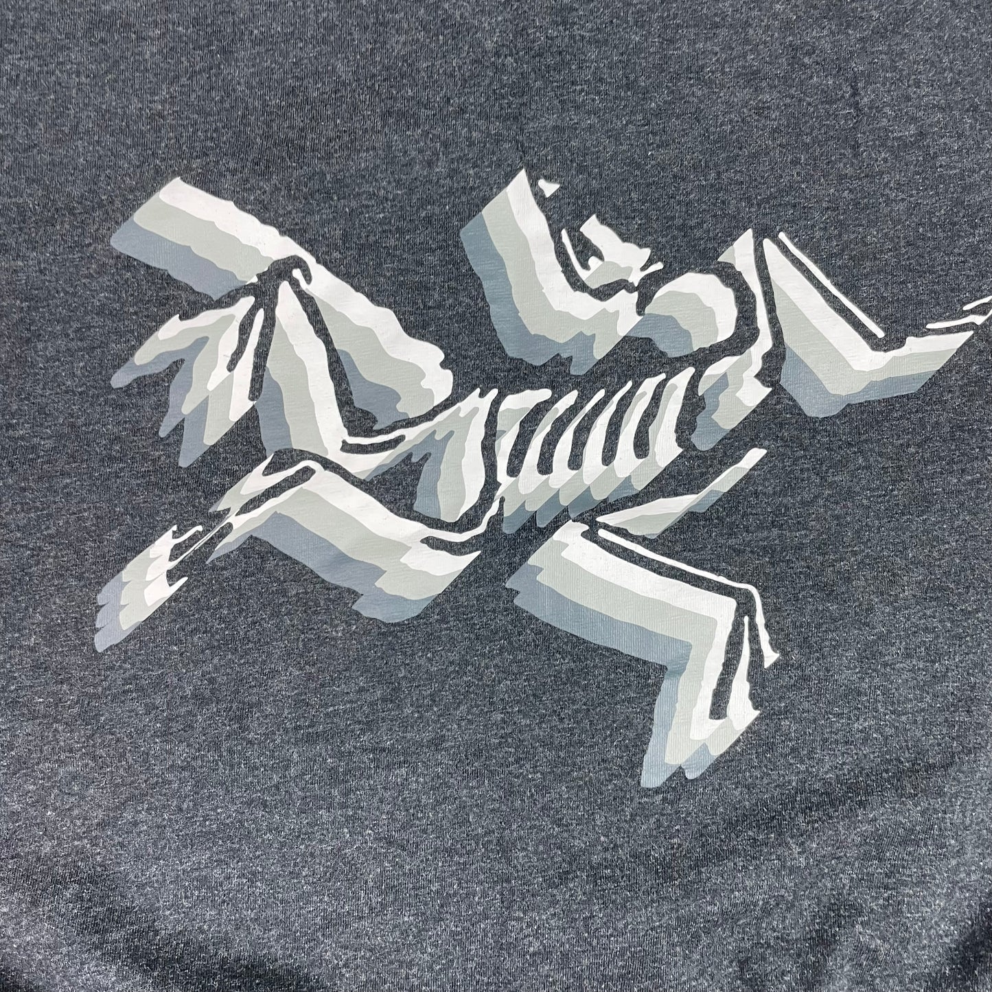 Arc'teryx Heather Dark Gray Geometric Graphic Shirt