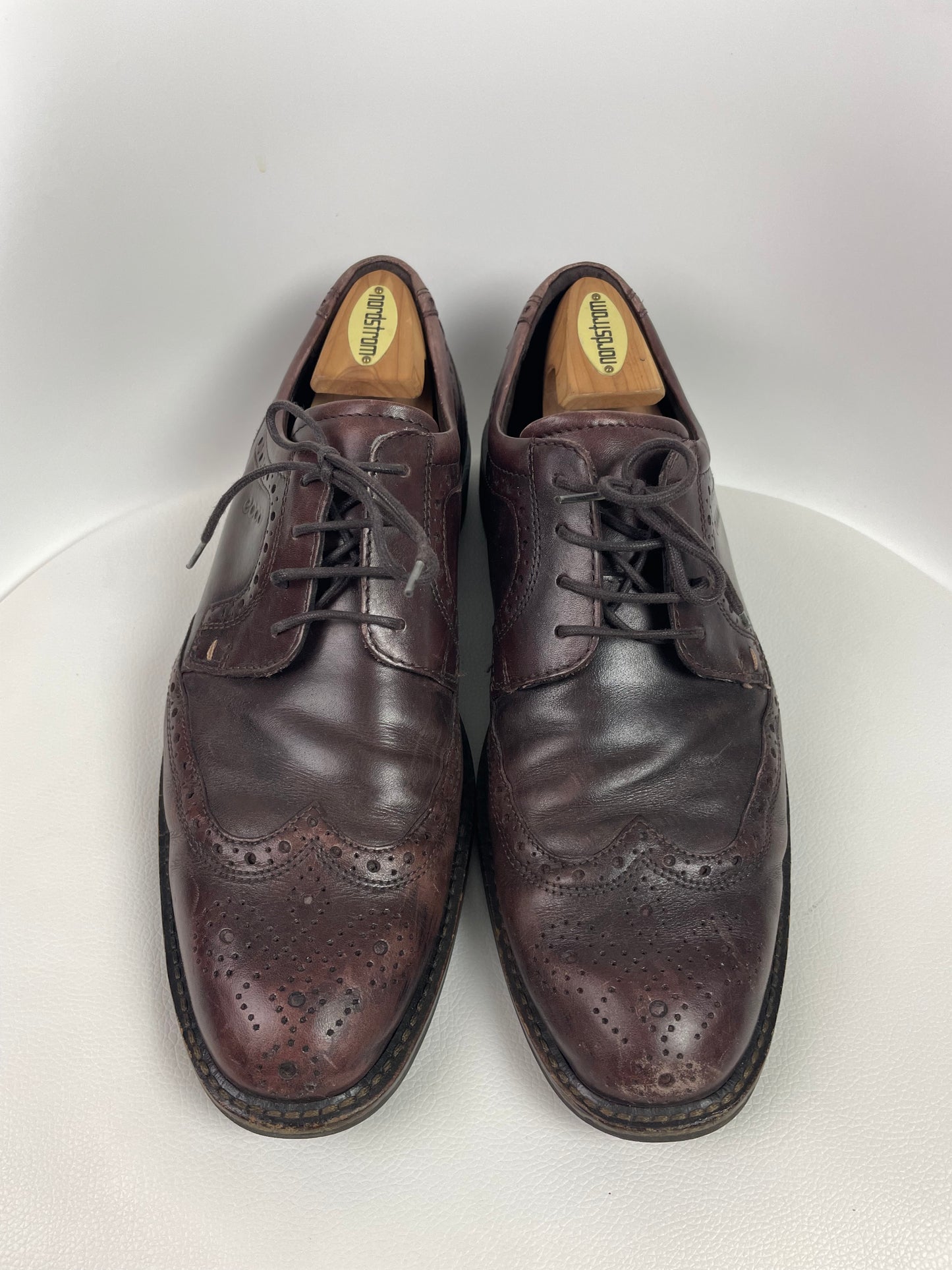 Ecco ST.1 Hybrid Wingtip Derby Brogue Brown Shoes