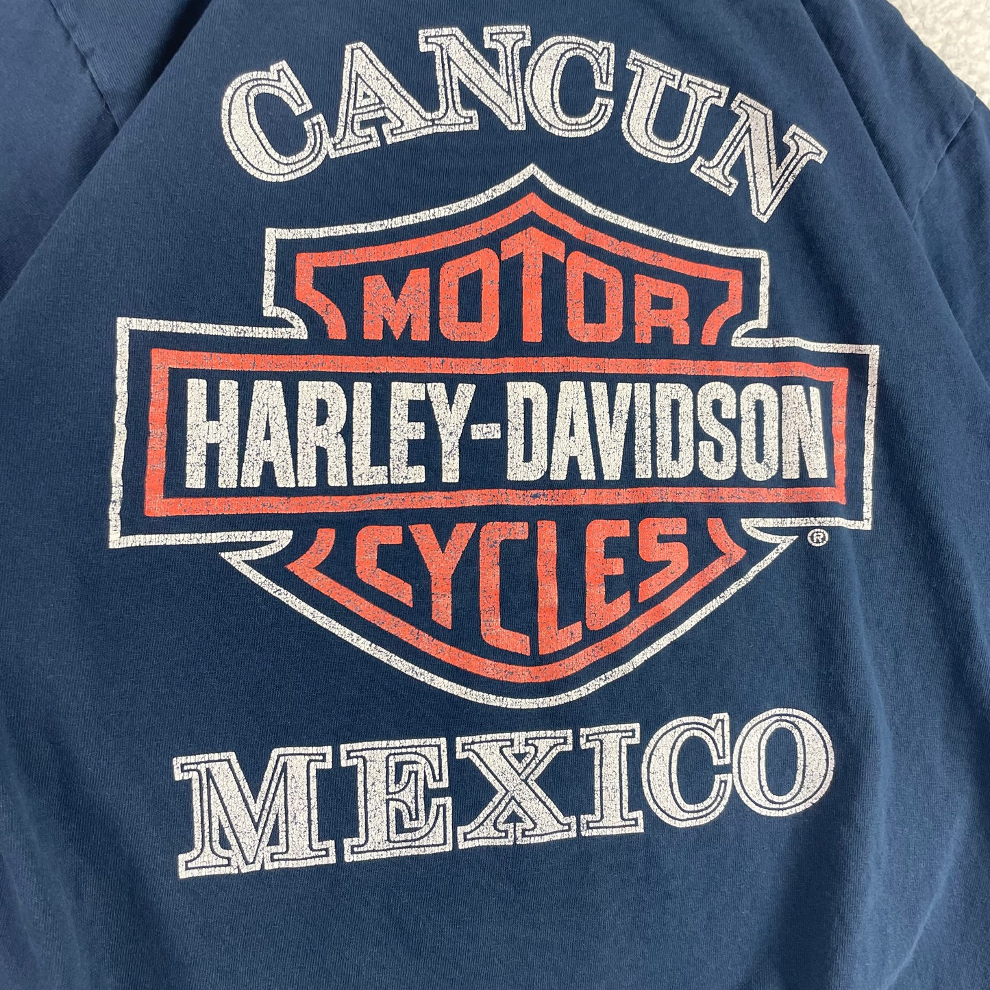 Vintage Harley Davidson Cyber Grunge Shirt