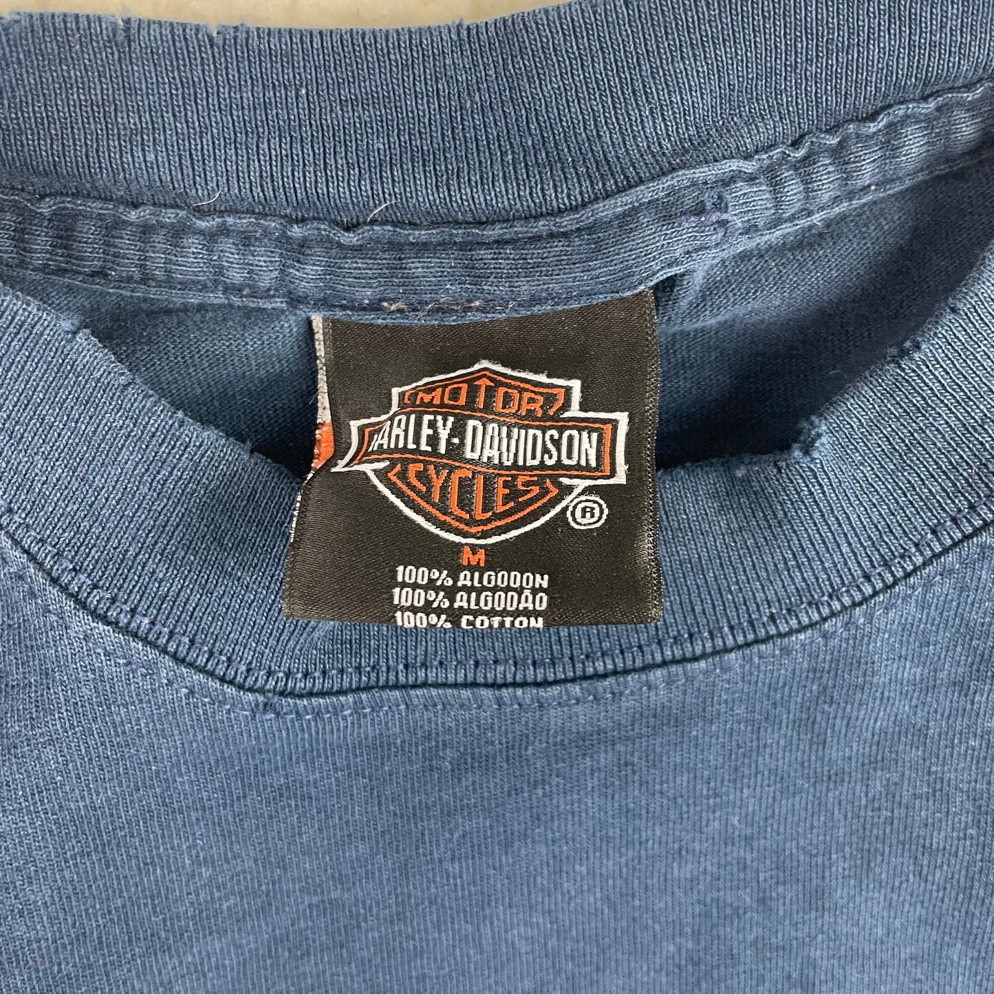 Vintage Harley Davidson Cyber Grunge Shirt