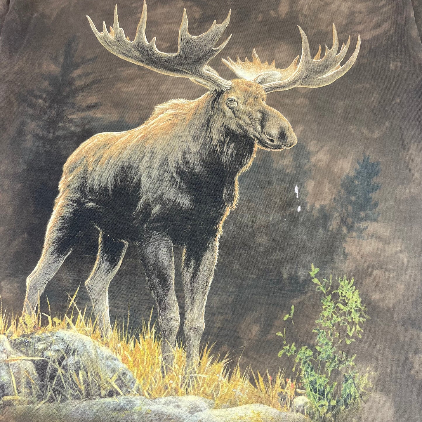 The Mountain Moose Graphic Brown Tie Dye Nature T-Shirt