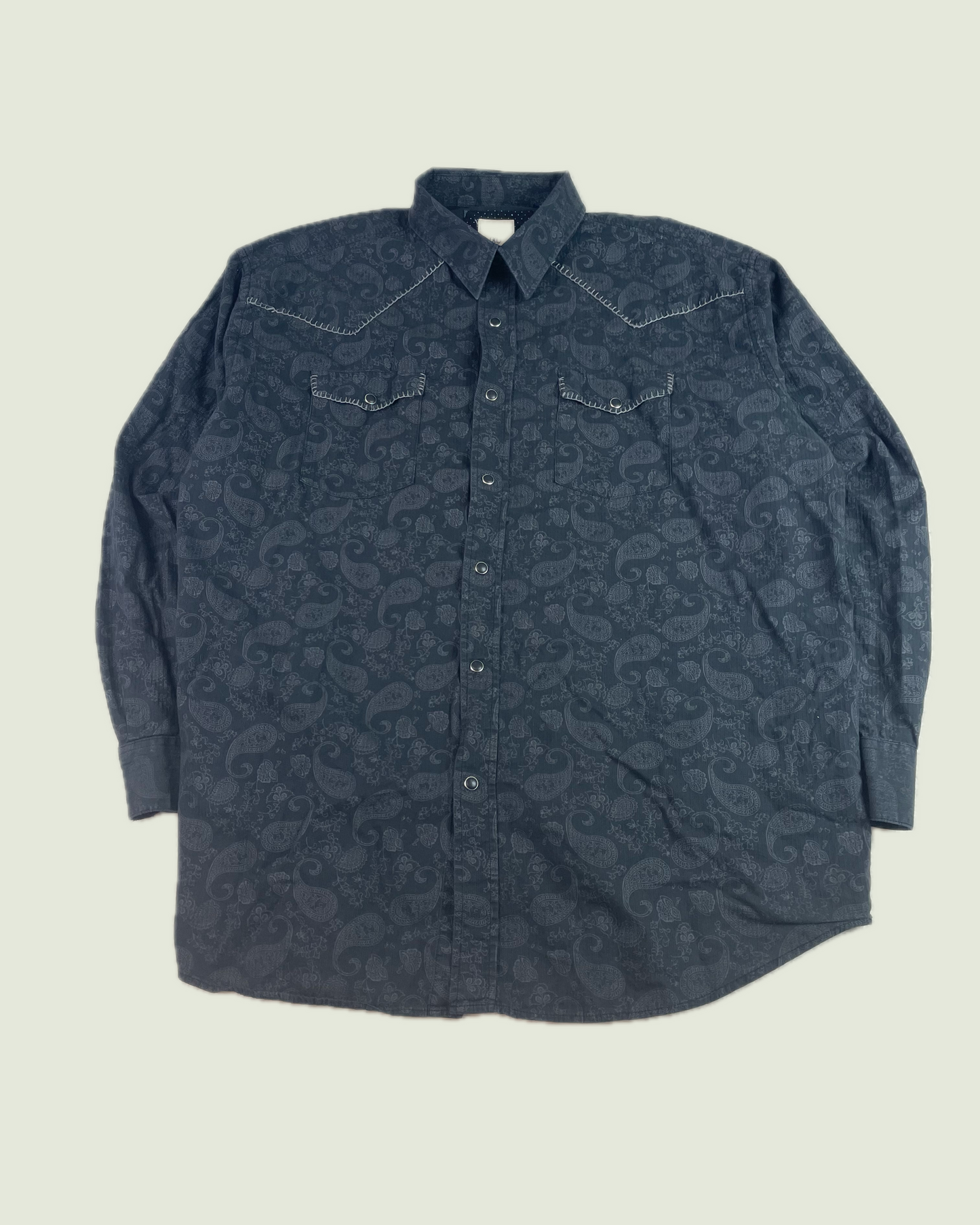 Panhandle Slim Western Yoke Paisley Snap Button Shirt